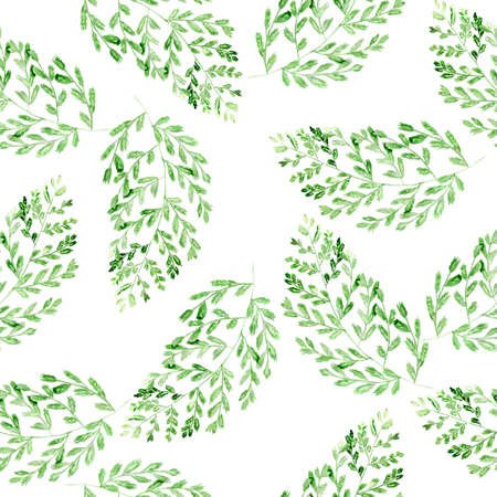 Watercolor pattern with fern leaves. Texture for fabric and wrapping paper. Herbal print.の写真素材