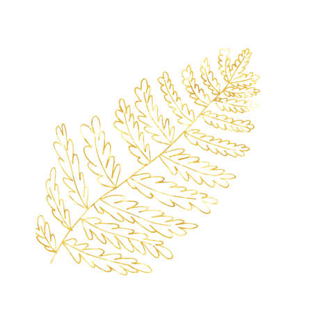 Gold branch, linear leaves and seeds. Hand painted isolated on white background. Vector.のイラスト素材