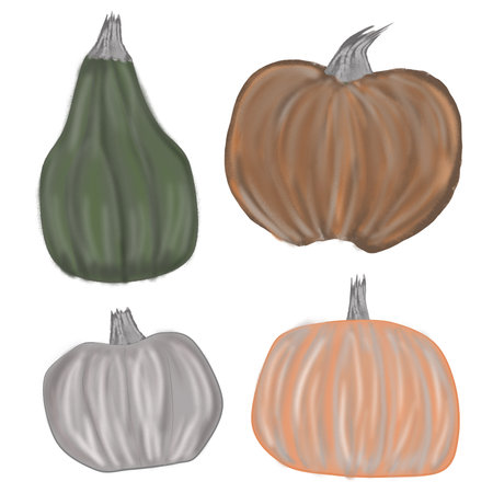 Pumpkins. Halloween. Elements for a greeting card . An invitation card. Design for decoration. A holiday party. An illustration for printing.の写真素材