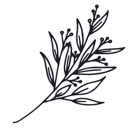 Vector Holiday twig. Illustration for invitation cards. Merry Christmas design for congratulations.のイラスト素材