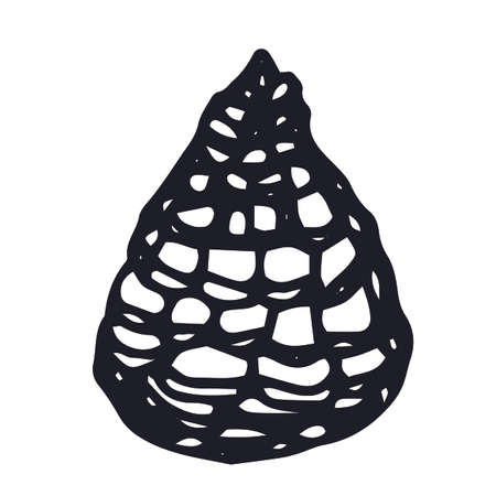 Vector fir cone . Illustration for invitation cards. Merry Christmas design for congratulations.のイラスト素材