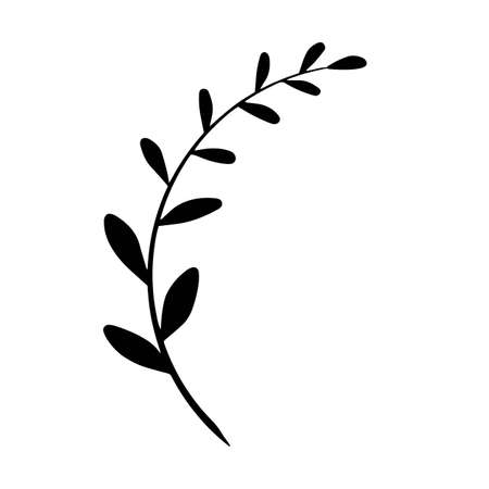 Vector twig. Illustration for invitation cards. Design for congratulations. The element for the design.のイラスト素材