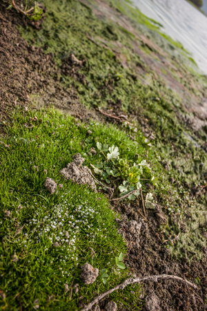 Natural viewの写真素材