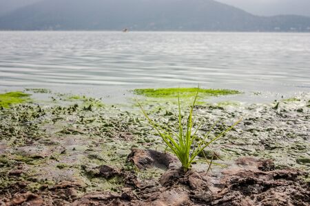 Aculeo Lagoon, Chileの写真素材
