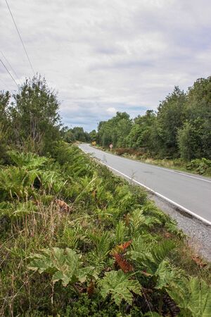 Highwayの写真素材