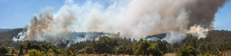 Forest Fire at Angol, Bio Bio Region, Chile.の写真素材