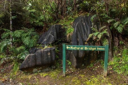 Natural Bridge in Waitomo, New Zealand