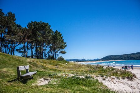 Whangamata beach, North Island, New Zealand.の写真素材