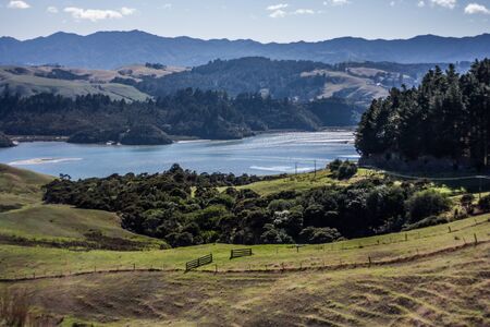 Coromandel Peninsula, North Island, New Zealandの写真素材