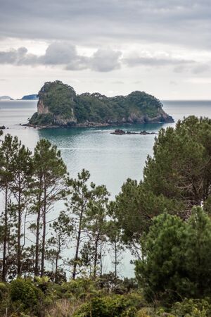Coromandel Peninsula, North Island, New Zealandの写真素材