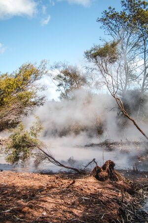 Bubbling mud pool in Rotorua, New ZealandBubbling mud pool in Rotorua, New Zealandの写真素材
