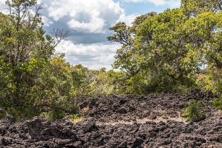 Rangitoto Islandの写真素材