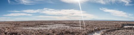 Chaxa Lagoon in Atacama Desert, Chile.の写真素材
