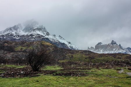 After the fire in Torres del Paine National Park, Patagonia, Chileの写真素材
