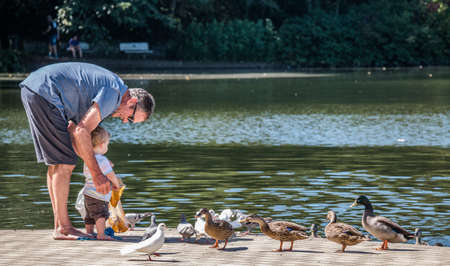 Hamilton, New Zealand - February 26, 2017: Family feeding the local ducks in Hamilton Gardens, New Zealand.のeditorial素材