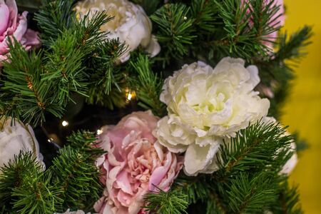 Roses christmas treeの写真素材