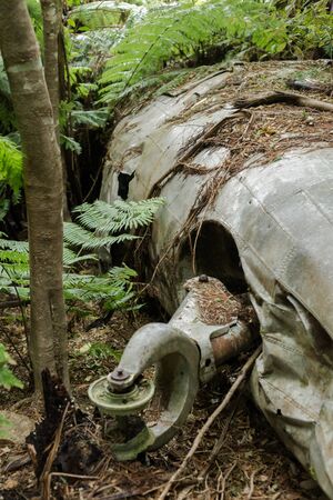 Port Underwood, New Zealand - December 27, 2017: Plane crash in a forest.