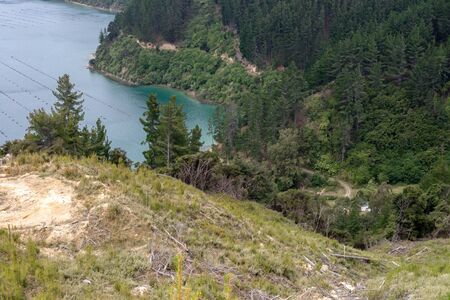Port Underwood, New Zealandの写真素材