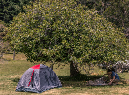 Camping in the shade of the treesの写真素材