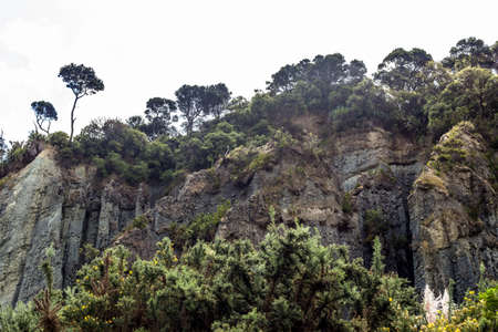 Putangirua Pinnacles, New Zealandの写真素材