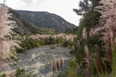 Putangirua Pinnacles, New Zealand
