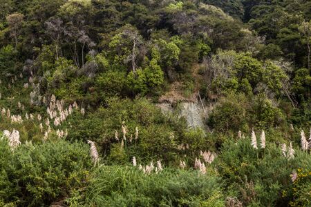 Putangirua Pinnacles, New Zealandの写真素材