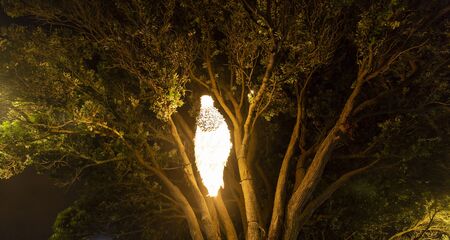 Wellington, New Zealand - May 20, 2018: Brilliant lights displays at Lux, a public festival of light...