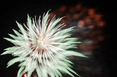 Bright bursts of fireworksの写真素材