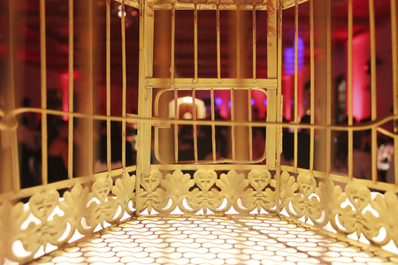 At night inside the decorative cageの写真素材