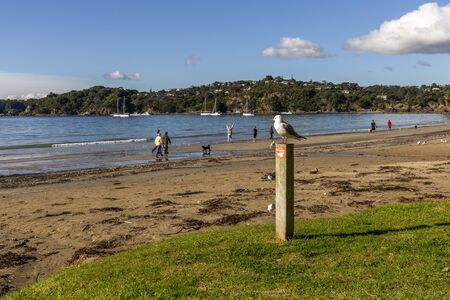 Waiheke Island, New Zealand - June 09, 2018: People enjoying a sunny day on Waiheke Island, New Zealand.のeditorial素材