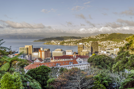 Panoramic view of Wellington, New Zealand.の写真素材