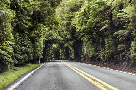 New Zealand Roadの写真素材