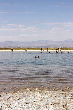 Atacama Desert, Chile - January 14, 2013: Tourists floating on a salt lake in Cejar Lagoon, Atacama Desert, Chileのeditorial素材