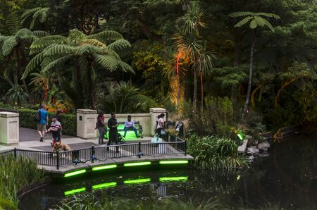 Wellington, New Zealand - January 20, 2018: Gardens Magic - dazzling displays of light amongst the trees of Wellington Botanic Garden, New Zealand.のeditorial素材