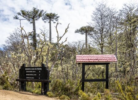 La Araucania Region, Chile - September 21, 2016: Information sign in Nahuelbuta National Park, South of Chile.のeditorial素材