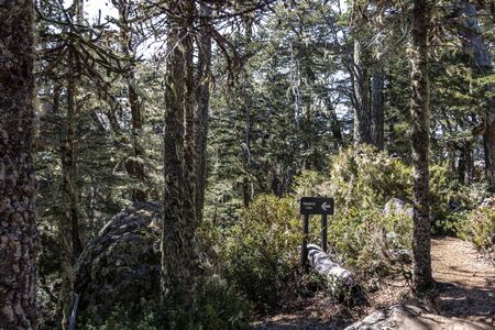 La Araucania Region, Chile - September 21, 2016: Information sign in Nahuelbuta National Park, South of Chile.のeditorial素材