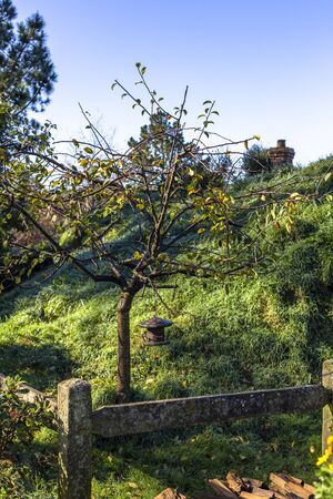 Matamata, New Zealand - June 07, 2017: Hobbiton, a movie set created for the filming of the Lord of the Rings and The Hobbit movies.のeditorial素材