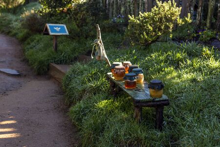 Matamata, New Zealand - June 07, 2017: Hobbiton, a movie set created for the filming of the Lord of the Rings and The Hobbit movies.のeditorial素材