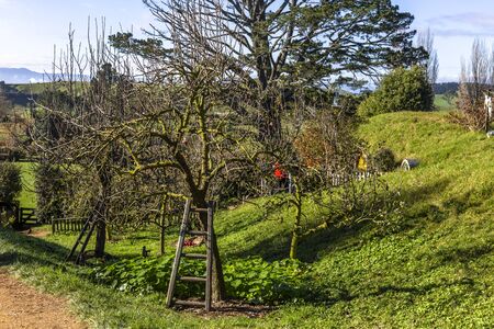 Matamata, New Zealand - June 07, 2017: Hobbiton, a movie set created for the filming of the Lord of the Rings and The Hobbit movies.のeditorial素材
