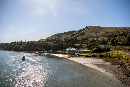 North Island, New Zealandの写真素材