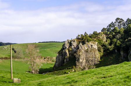 Beautiful stone on the countryside of New Zealand