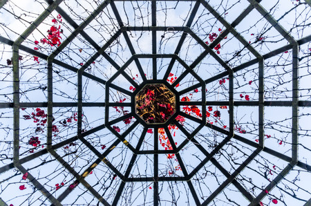 Flower dome in Hamilton Gardens, New Zealand.の写真素材