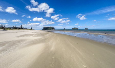 Whangamata beach, North Island, New Zealand.の写真素材