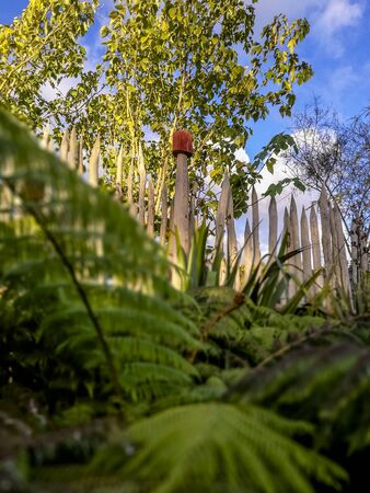 Hamilton, New Zealand - May 14, 2017: Maori carving on Hamilton Gardens, New Zealandのeditorial素材