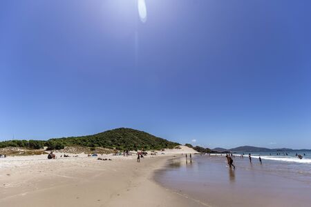 Whangarei Heads, New Zealand - December 27, 2018: People enjoying a beautiful sunny day at Ocean Beach, New Zealand.のeditorial素材