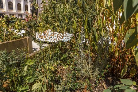 Auckland, New Zealand - January 04, 2019: Chinese presby tarian church at The Griffiths Gardens and The Community Fridge, an Auckland Community initiative to help share excess food with people who need it.のeditorial素材