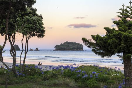 Whangamata, New Zealand - January 02, 2019: People enjoying a beautiful sunset at Whangamata beach, North Island, New Zealand.のeditorial素材
