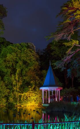 Wellington, New Zealand - January 26, 2019: The Duck Pond at Gardens Magic - Dazzling displays of light amongst the trees of Wellington Botanic Garden, New Zealand.のeditorial素材