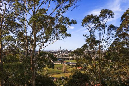 Sky Tower view from One Tree Hill at Auckland, New Zealandの写真素材