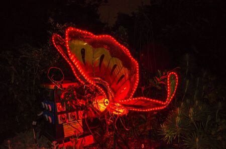 Auckland, New Zealand - February 12, 2017: Handmade Chinese lanterns at the Auckland Domain, New Zealand.のeditorial素材